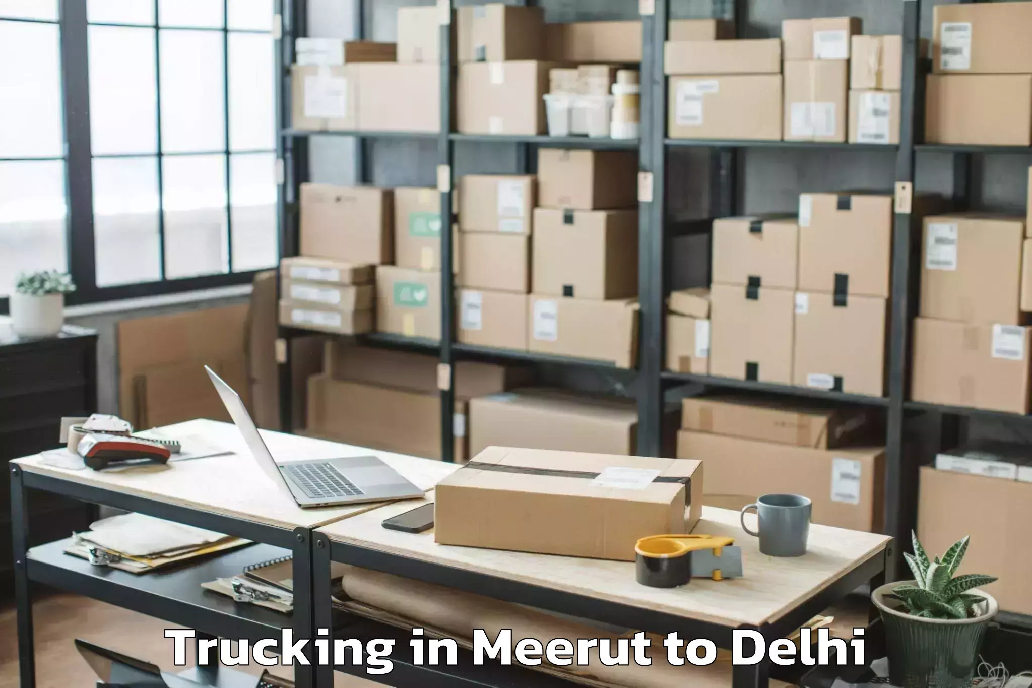 Top Meerut to Alipur Trucking Available